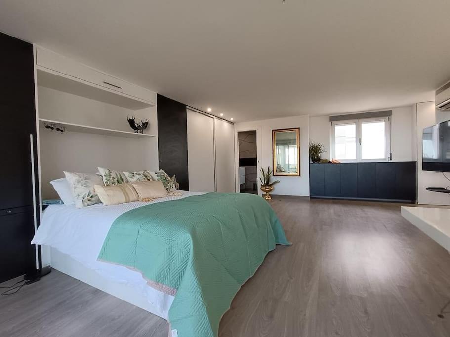 Spacious Studio By The University Сан-Висенте-дель-Распеч Экстерьер фото